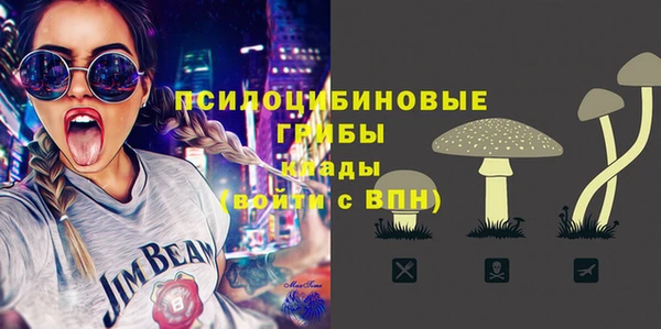 стаф Балахна