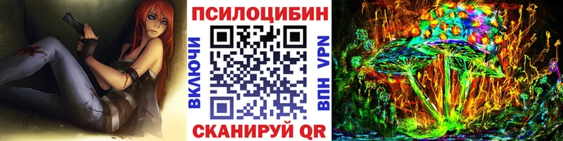 Купить закладки  Ардон  Псилоцибиновые грибы GOLDEN TEACHER 